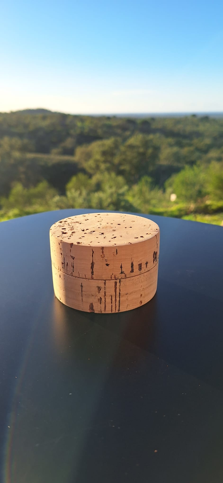 Natural Cork Box